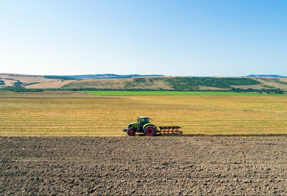 Əkin yerinin yandırılmasına görə FHN və DİN-ə cərimə tətbiq etmək səlahiyyəti verilib