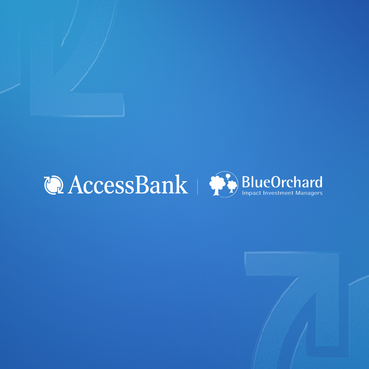 AccessBank привлек субординированный кредит в размере $8 млн от Blue Orchard