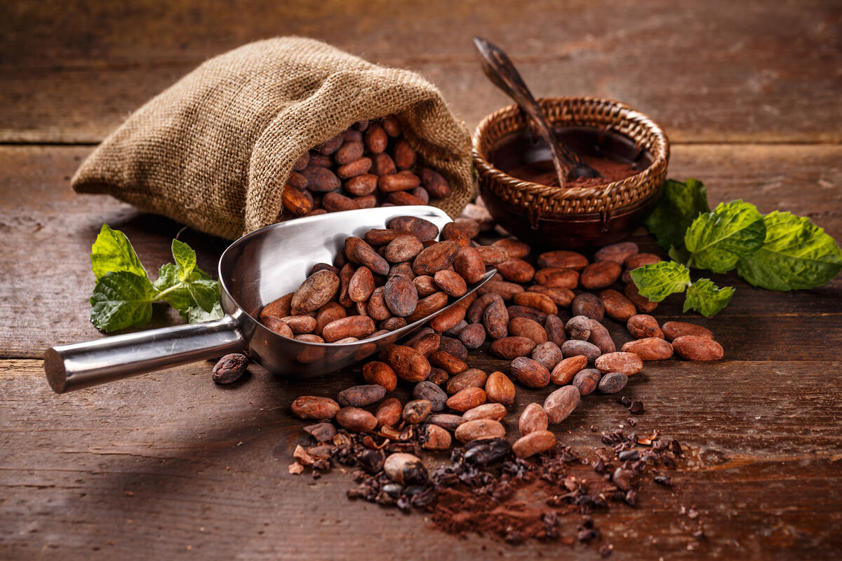 “Kakao böhranı” nə vaxta qədər davam edəcək?