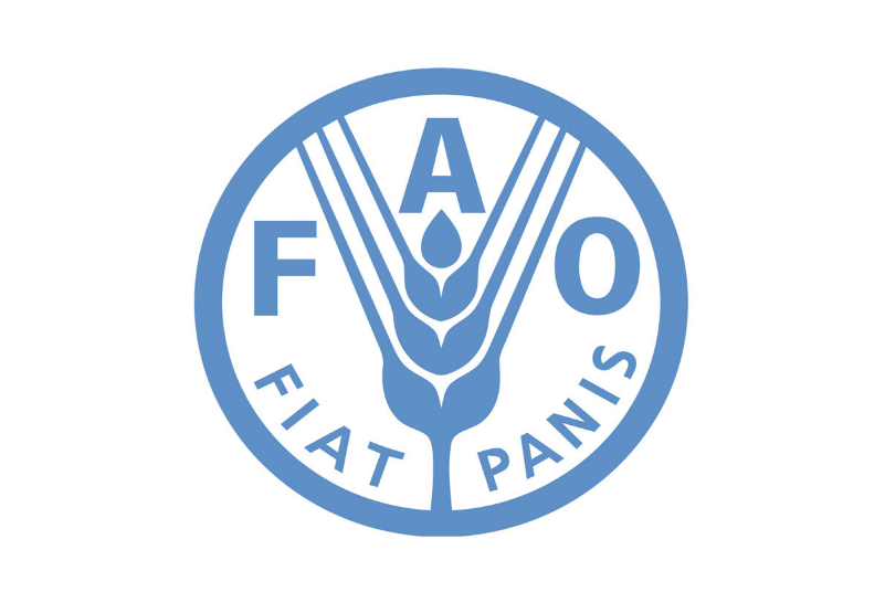FAO ərzaq qiymətləri barədə hesabatını açıqlayıb