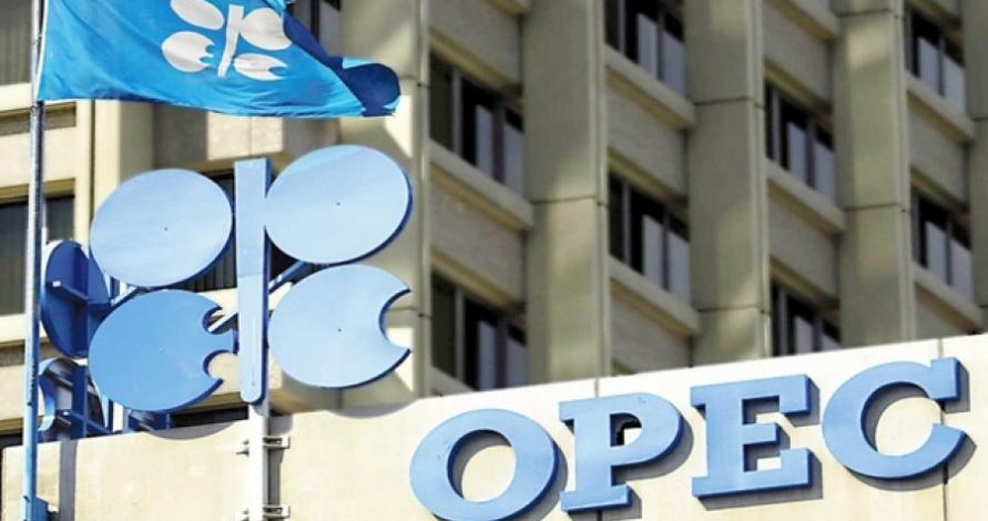 OPEC – in neft hasilatı artıb
