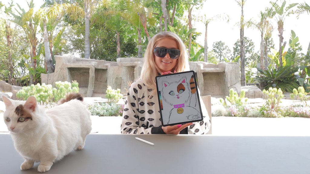Paris Hilton pişiyinin şəklini 40 ethereum-a satdı