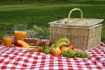 paşabank, picnic, piknik